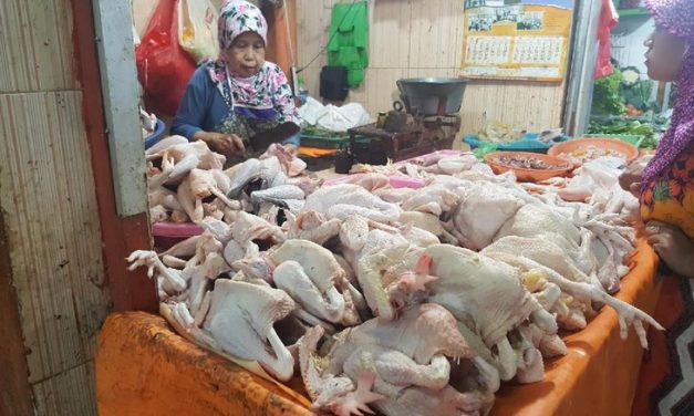 Jelang Lebaran Harga Ayam Potong mulai Merangkak Naik di Malang
